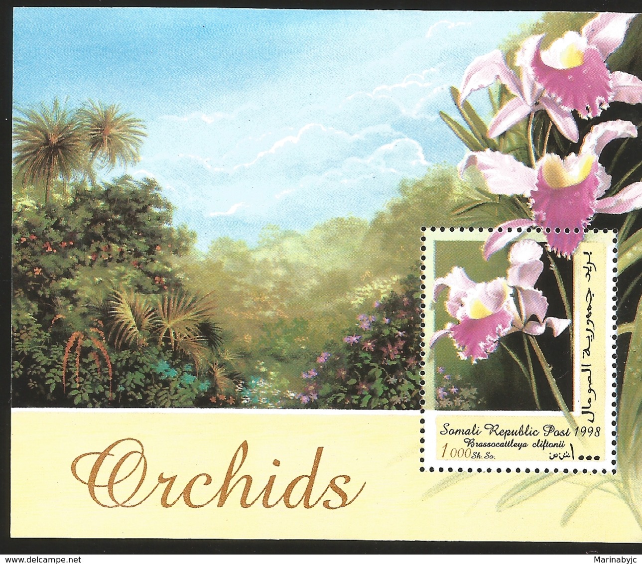 V) 1998 SOMALIA, FLOWERS, ORCHIDS, BRASSOCATTLEYA DIFTANII, MNH - Somalië (1960-...)