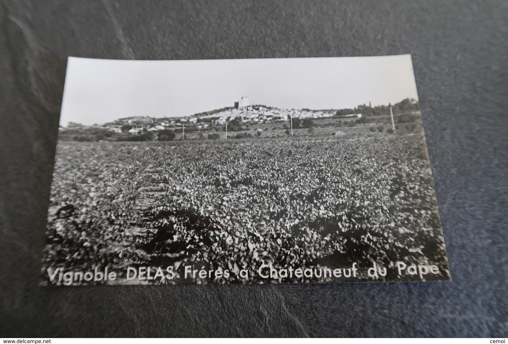 CPSM - Vignoble DELAS Frères à CHATEAUNEUF Du PAPE (84) - Tournon Sur Rhône - Chateauneuf Du Pape