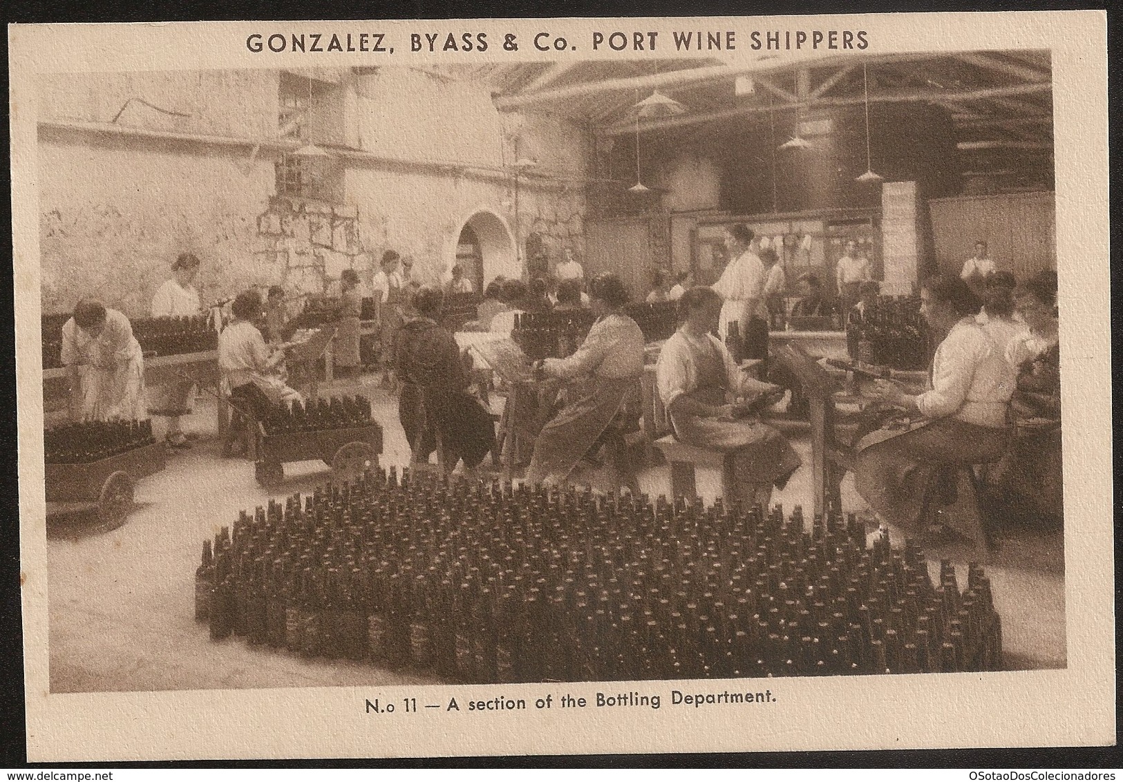 Postal Portugal - Vila Nova Gaia - Gonzalez, Byass & Cº Port Wine Shippers - A Section Of The Bottling Department - Porto