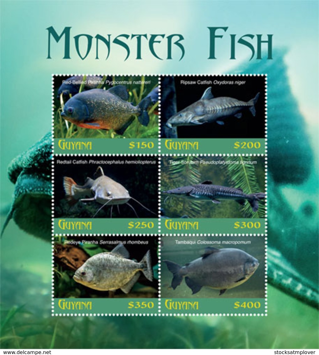 Guyana 2018 Fauna  Monster Fish  I201901 - Guyana (1966-...)