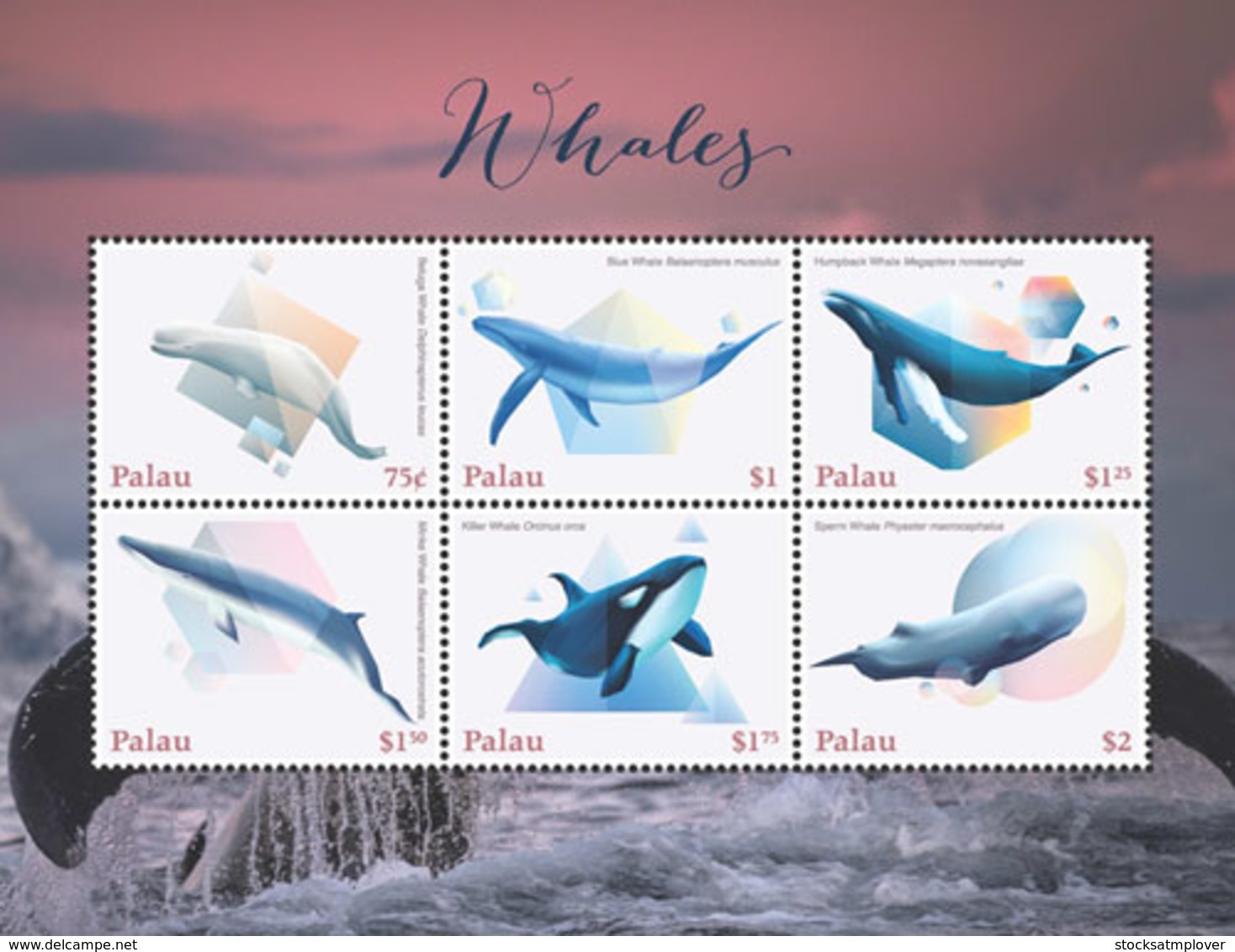 Palau 2018  Fauna Whales  I201901 - Palau