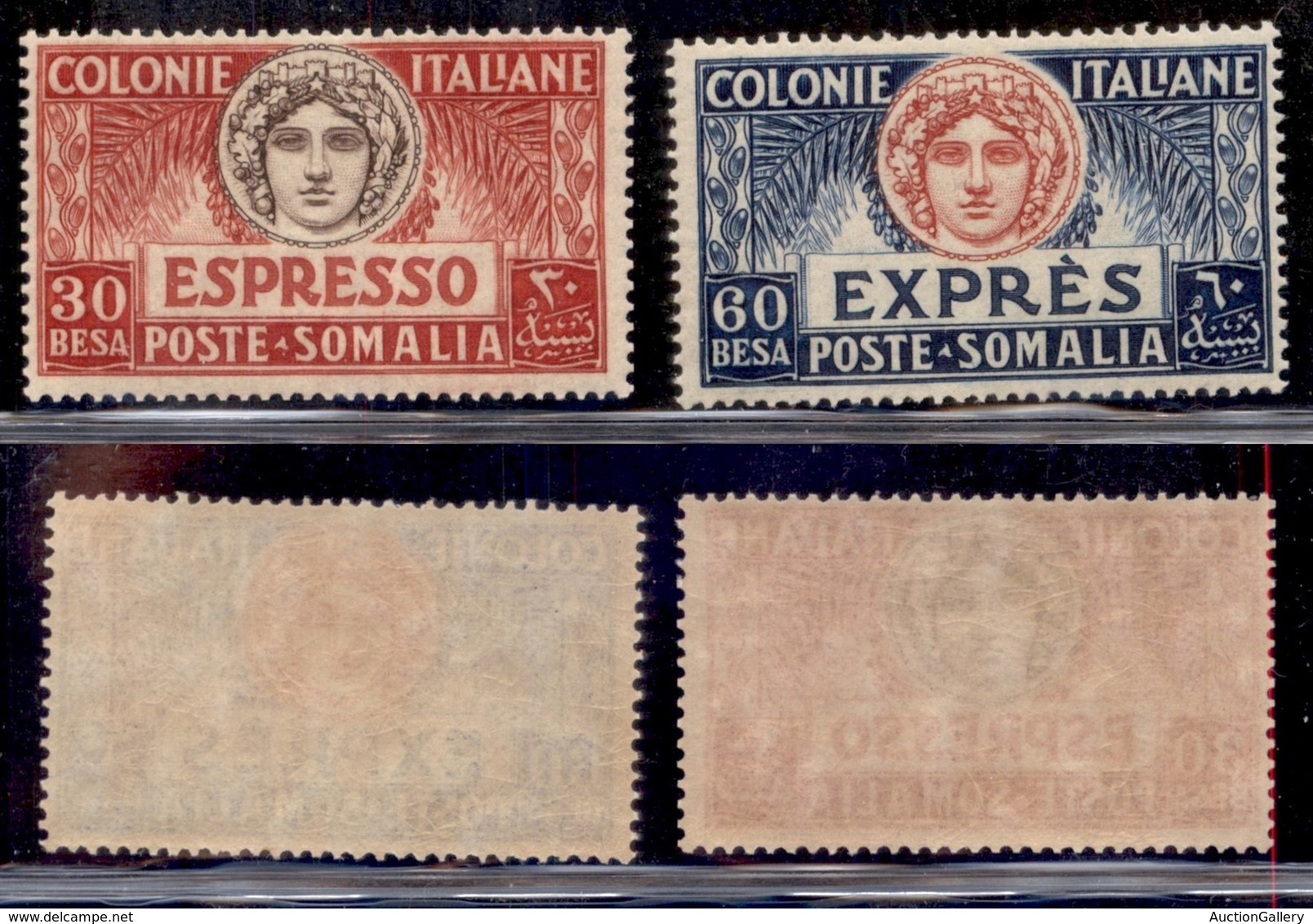 COLONIE - SOMALIA - 1924 - Espressi (3/4) - Serie Completa - Gomma Integra (100) - Sonstige & Ohne Zuordnung