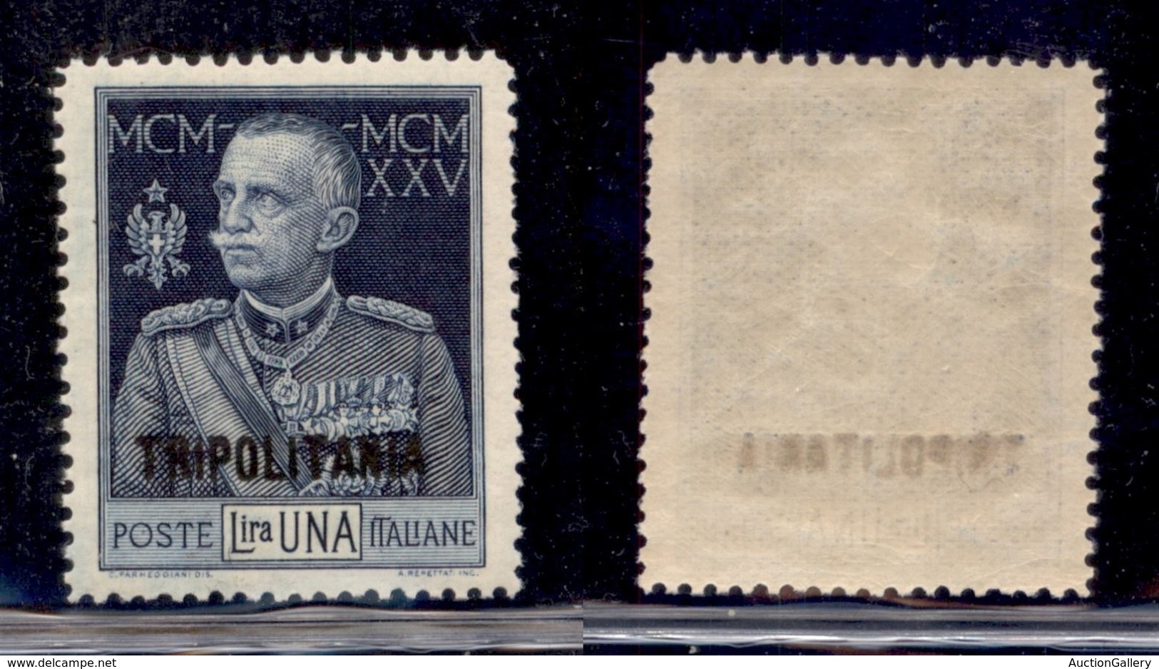 COLONIE - TRIPOLITANIA - 1925 - 1 Lira Giubileo (26) - Gomma Integra (60) - Andere & Zonder Classificatie