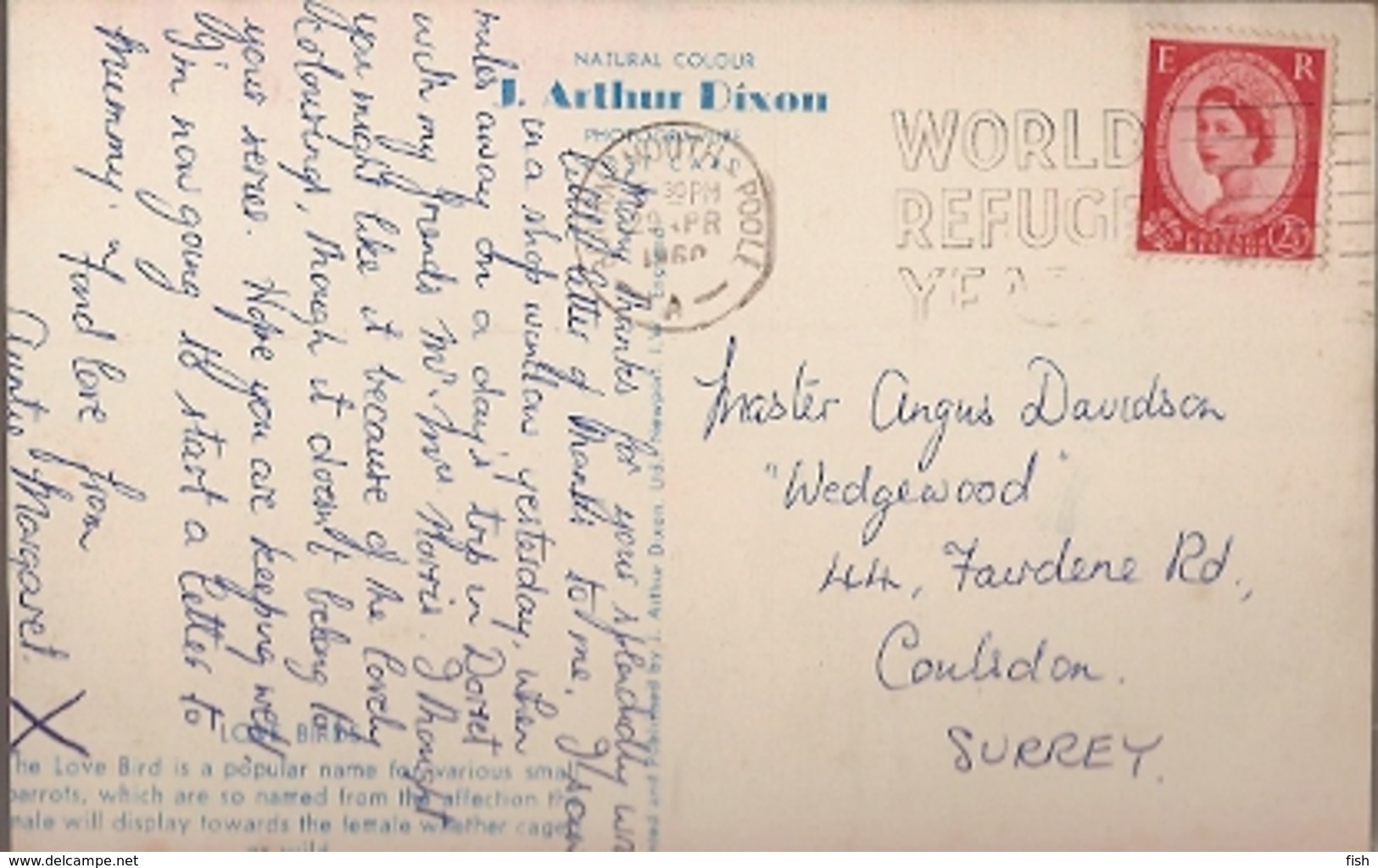 Great Britain & Marcofilia, Love Birds By J. Arthur Dixon, World Refugee Year, Bournemouth, Coulsdon 1960 (8678) - Cartas & Documentos