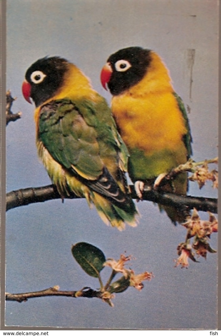 Great Britain & Marcofilia, Love Birds By J. Arthur Dixon, World Refugee Year, Bournemouth, Coulsdon 1960 (8678) - Cartas & Documentos