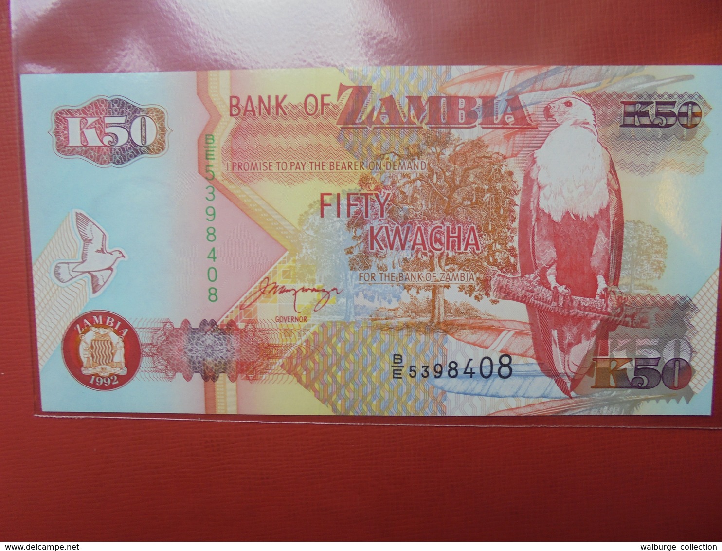 ZAMBIE 50 KWACHA 1992-2010 PEU CIRCULER/NEUF - Zambie