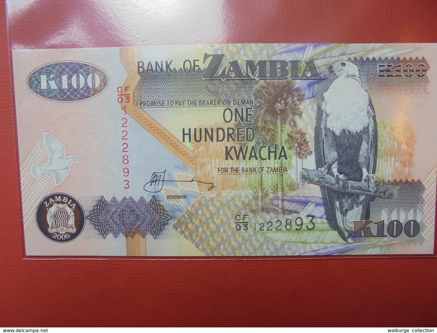 ZAMBIE 100 KWACHA 1992-2011 PEU CIRCULER/NEUF - Zambia