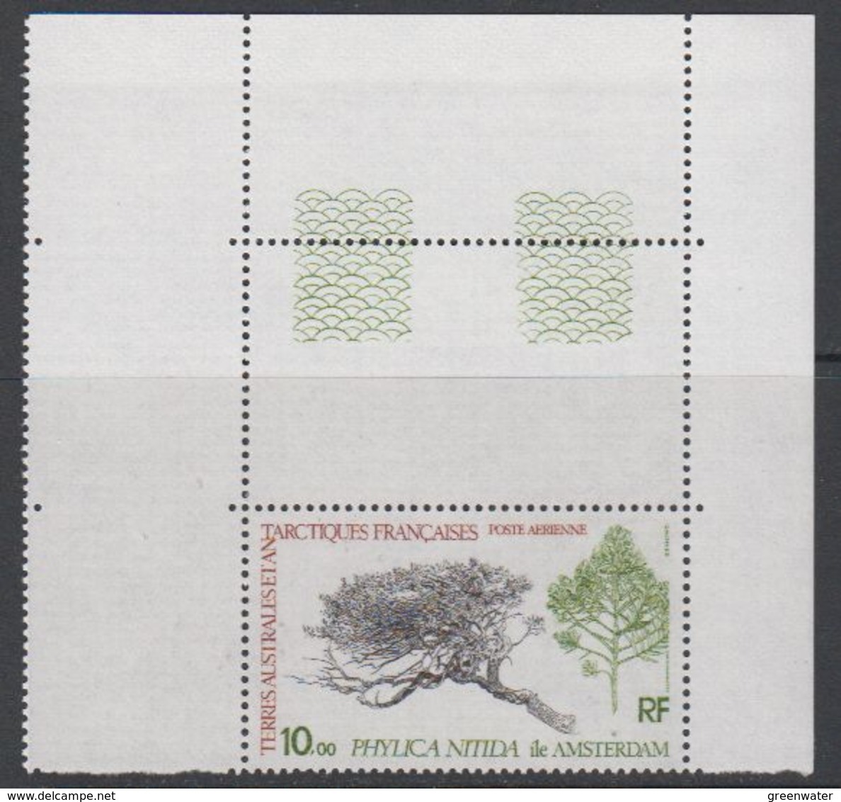 TAAF 1979 Phylica Nitida De Amsterdam 1v  ** Mnh (42877B) - Ongebruikt