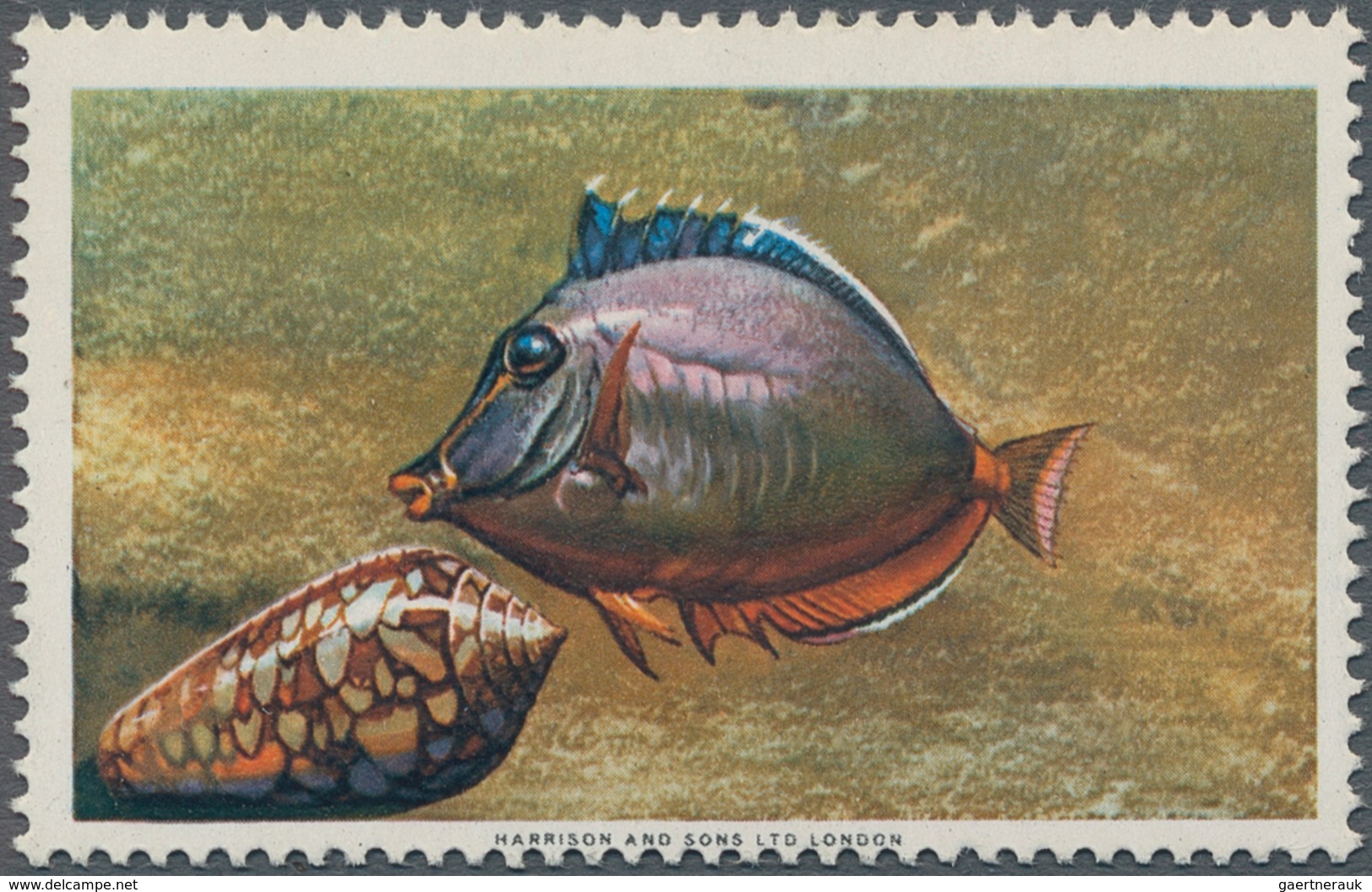 Katar / Qatar: 1965 "Masked Unicornfish" 5n.p., Variety "BLACK OMITTED (denominations And Country)", - Qatar