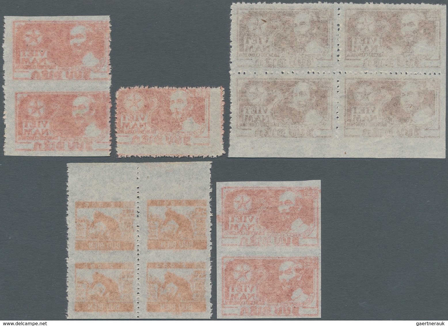 Vietnam-Nord (1945-1975): 1951/1955. Mis-perforations From The 1950's. 100 D Brown (Michel 4 AA), Bl - Viêt-Nam