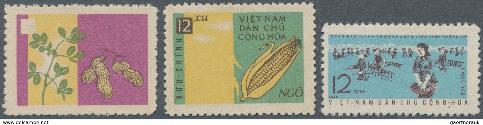 Vietnam-Nord (1945-1975): 1962/1963. Missing Printing Phases. Michel Nr. 231F, Michel Nr. 234 F1 And - Vietnam