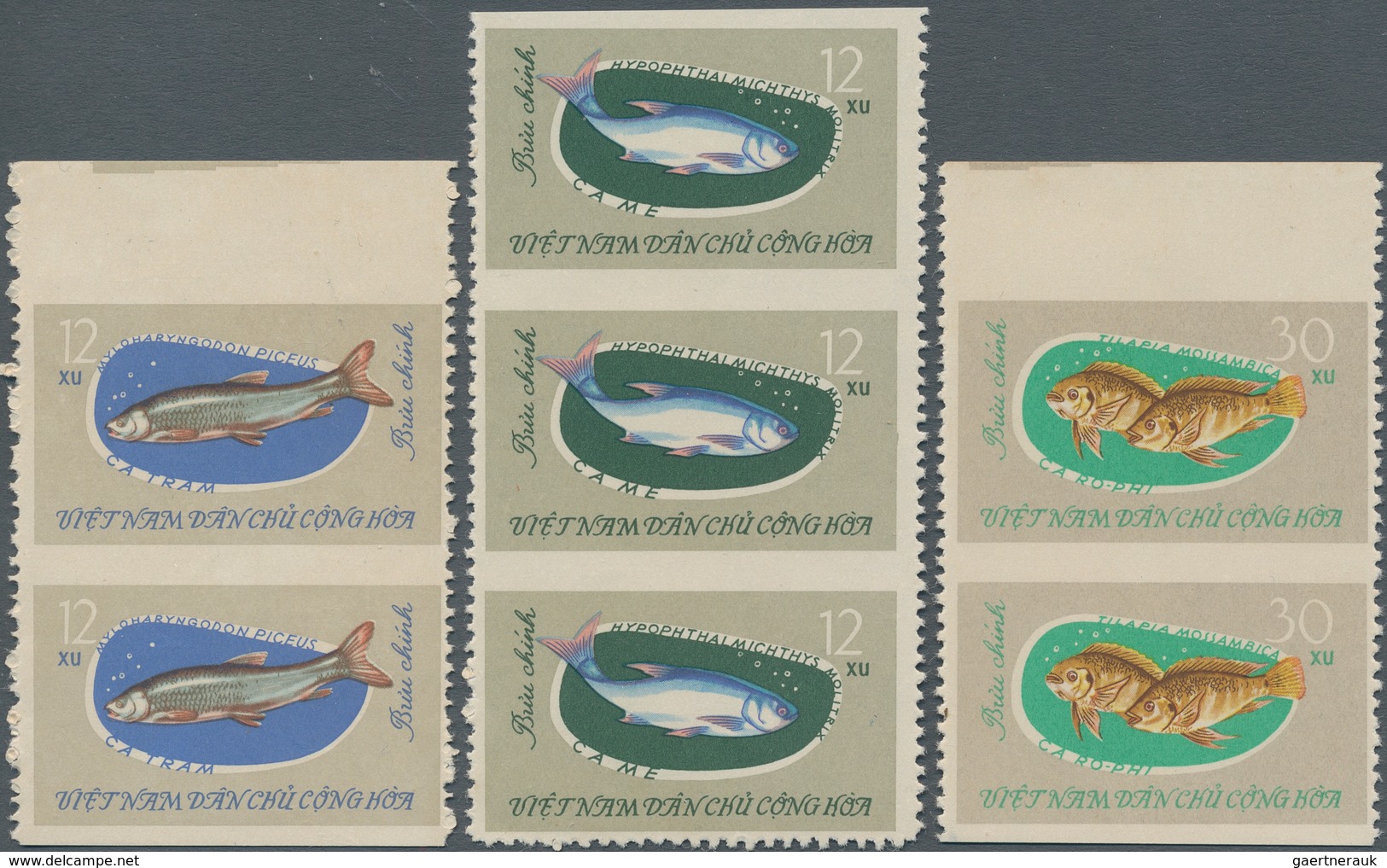 Vietnam-Nord (1945-1975): 1963. Michel Nr. 270; Vertical Pair From Top Sheet Margin That Was Left Im - Vietnam