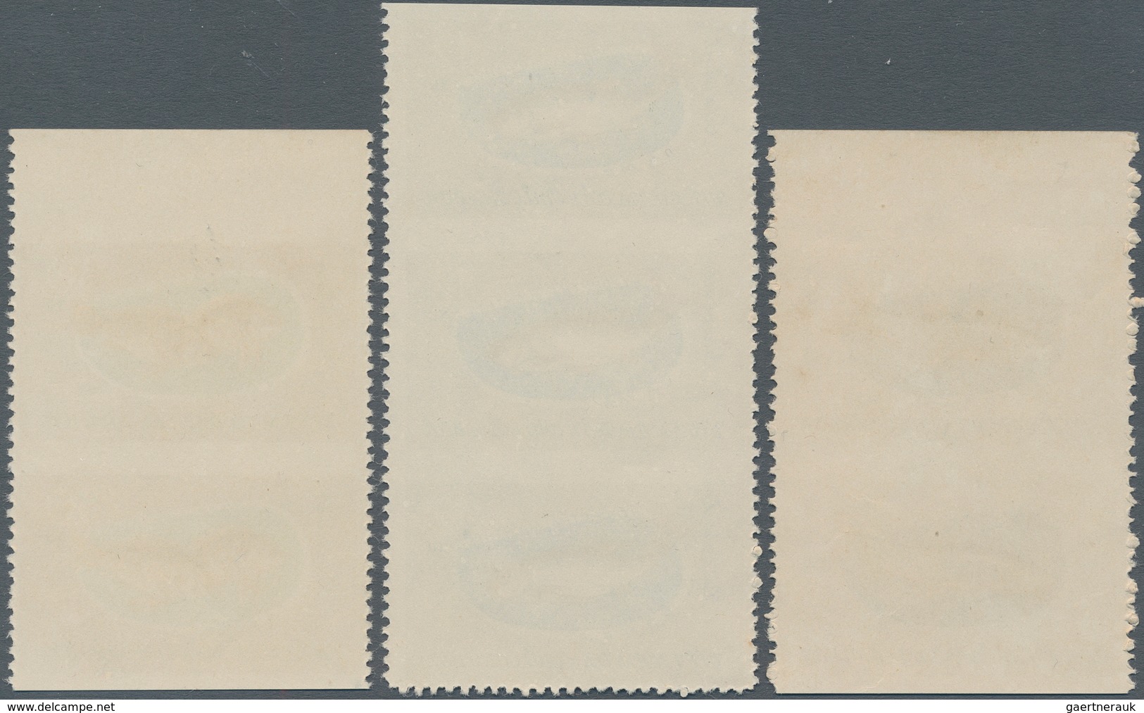 Vietnam-Nord (1945-1975): 1963. Michel Nr. 270; Vertical Pair From Top Sheet Margin That Was Left Im - Vietnam