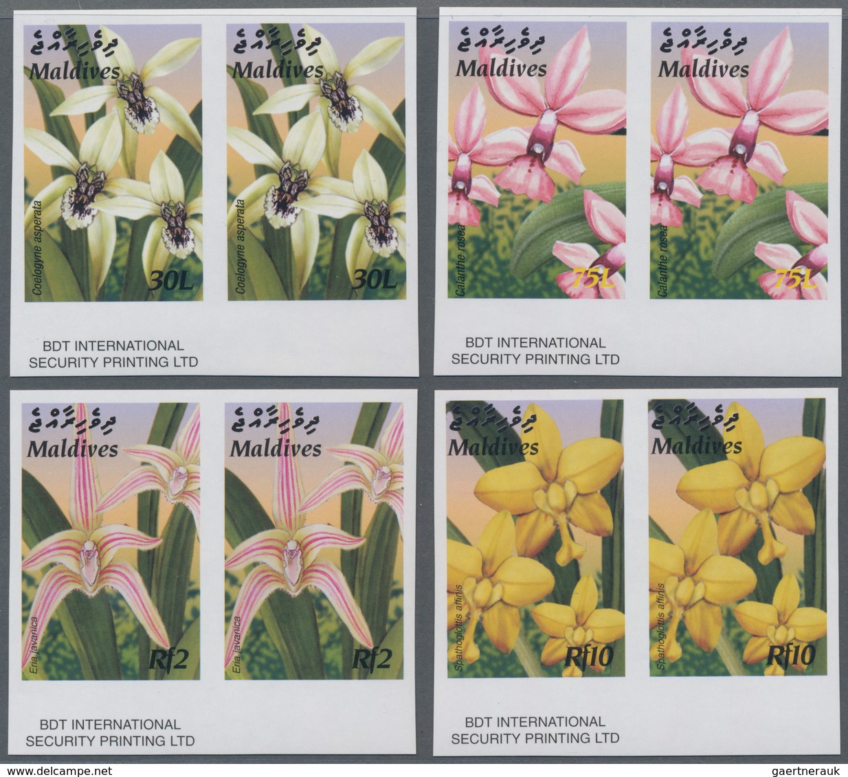 Thematik: Flora, Botanik / Flora, Botany, Bloom: 2003, MALDIVES: Native Plants Complete Set Of Four - Andere & Zonder Classificatie