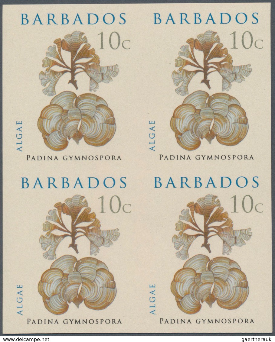 Thematik: Flora, Botanik / Flora, Botany, Bloom: 2008, Barbados. IMPERFORATE Block Of 4 For The 10c - Other & Unclassified