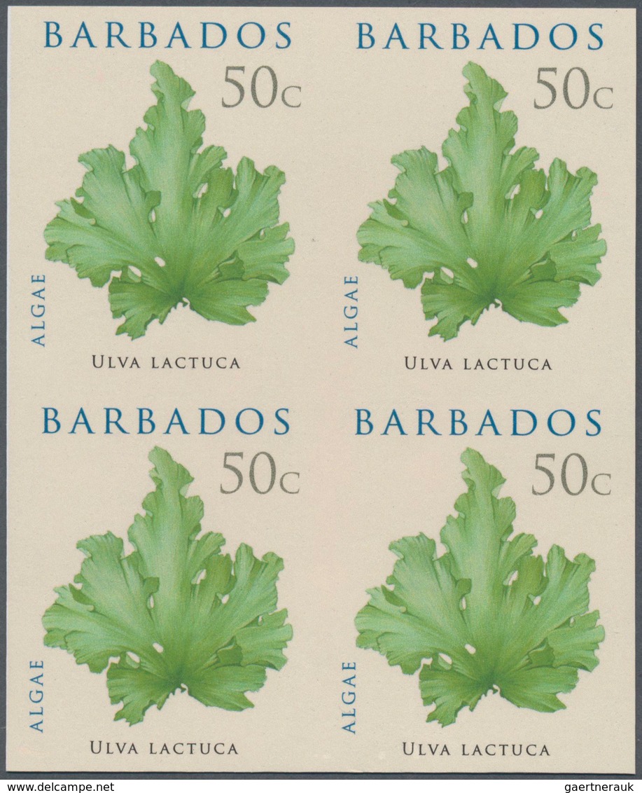 Thematik: Flora, Botanik / Flora, Botany, Bloom: 2008, Barbados. IMPERFORATE Block Of 4 For The 50c - Other & Unclassified