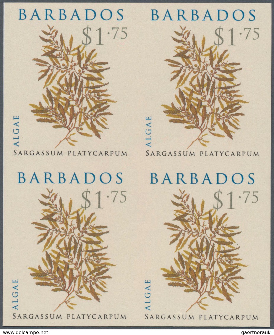 Thematik: Flora, Botanik / Flora, Botany, Bloom: 2008, Barbados. IMPERFORATE Block Of 4 For The $1.7 - Other & Unclassified