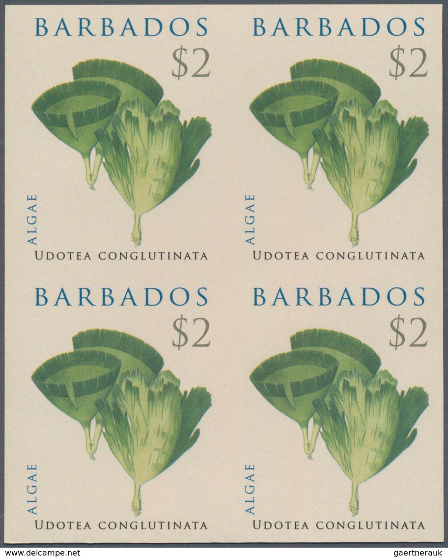 Thematik: Flora, Botanik / Flora, Botany, Bloom: 2008, Barbados. IMPERFORATE Block Of 4 For The $2 V - Sonstige & Ohne Zuordnung