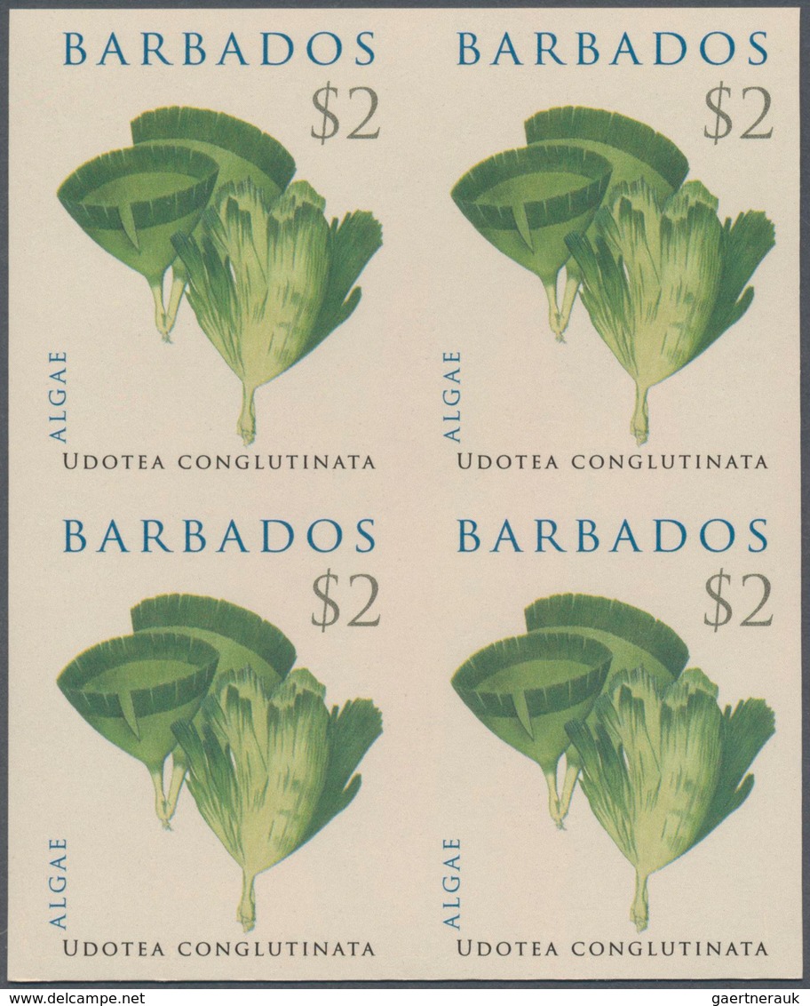 Thematik: Flora, Botanik / Flora, Botany, Bloom: 2008, Barbados. IMPERFORATE Block Of 4 For The $2 V - Andere & Zonder Classificatie