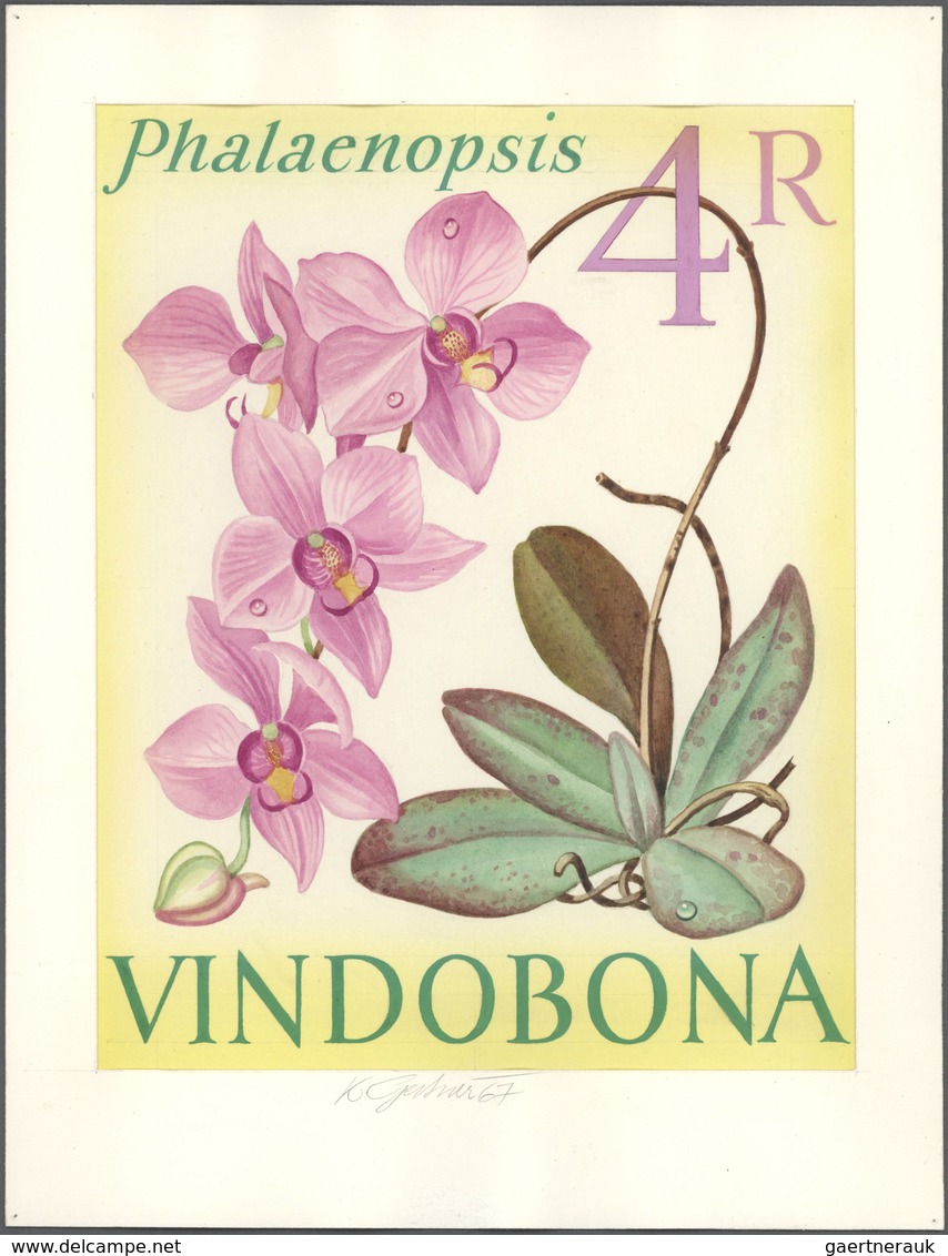 Thematik: Flora-Orchideen / Flora-orchids: 1967. Artist's Drawing Showing PHALAENOPSIS, With Inscrip - Orchidées