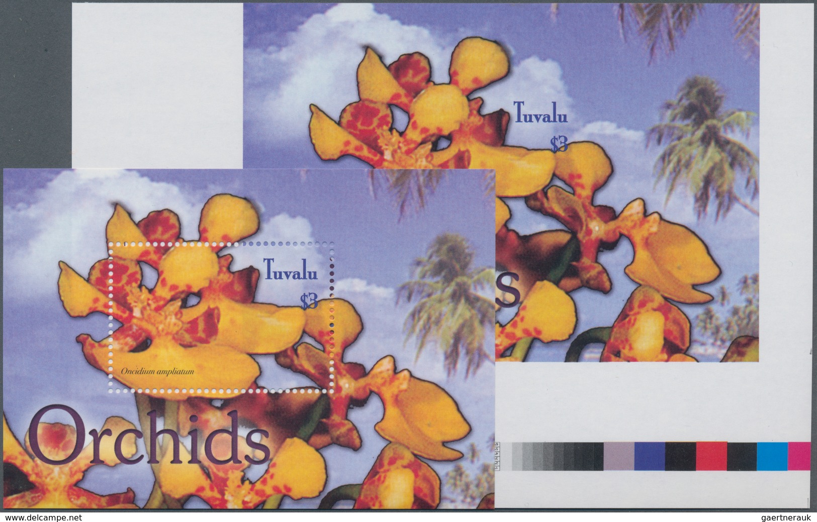 Thematik: Flora-Orchideen / Flora-orchids: 2003, TUVALU: Orchids 'Oncidium Ampiatum' Perforate And I - Orchidées