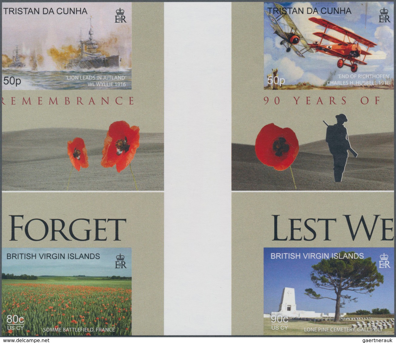 Thematik: Militär / Military: 2008, TRISTAN DA CUNHA And BRITISH VIRGIN ISLANDS: 90 Years Of Remembr - Militares