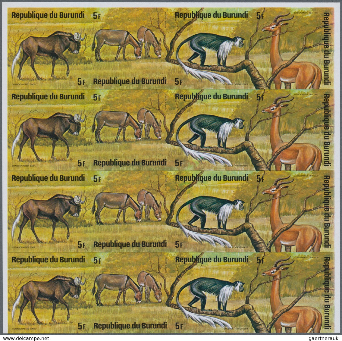 Thematik: Tiere, Fauna / Animals, Fauna: 1975, BURUNDI: African Animals (rhinoceros, Snake, Gazelle, - Andere & Zonder Classificatie