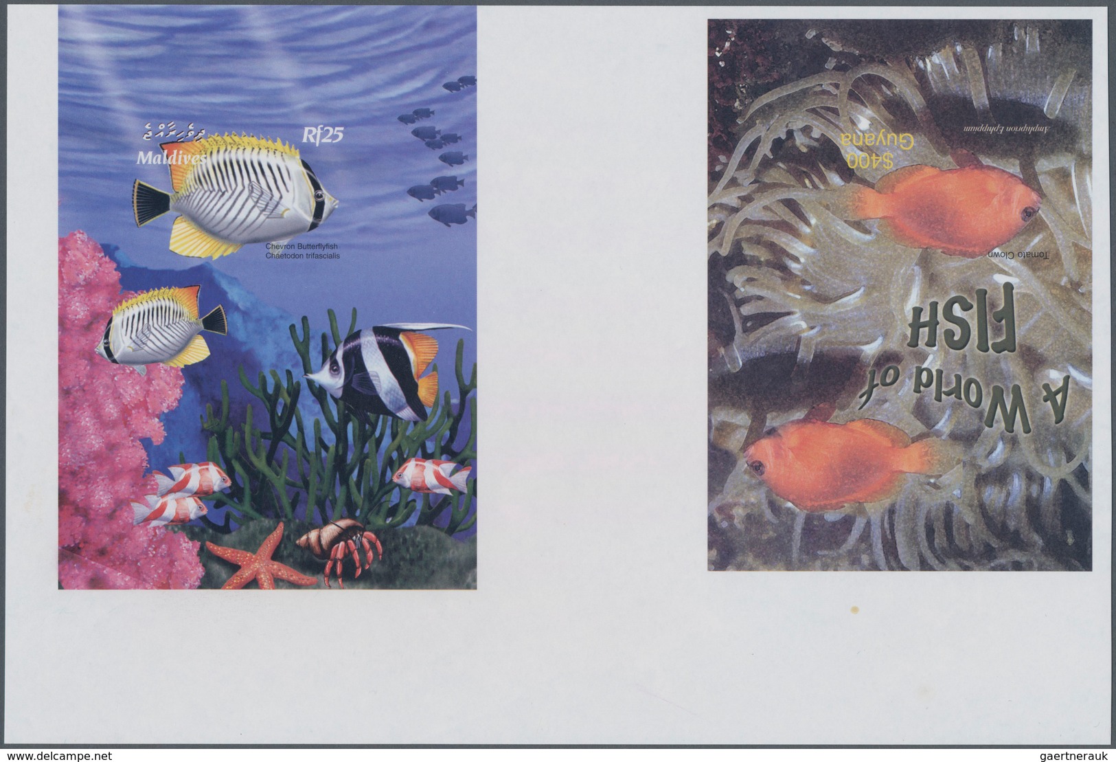 Thematik: Tiere-Fische / Animals-fishes: 2003, MALDIVES And GUYANA: Fishes Horizontal Pair Of Two Di - Vissen