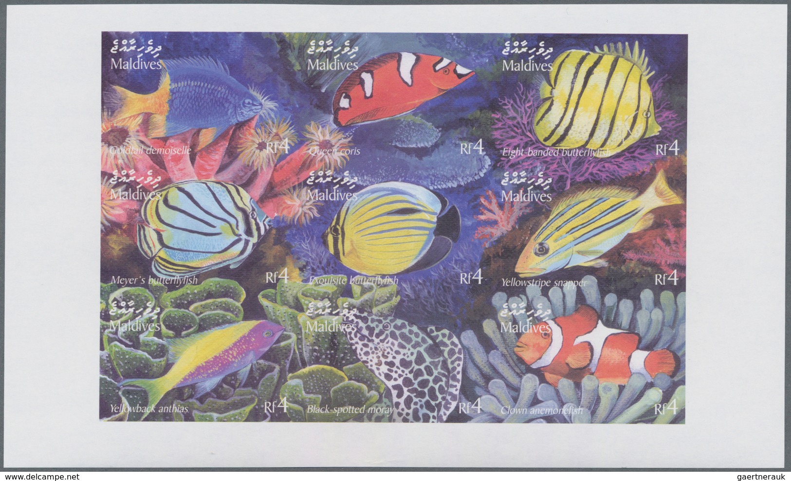 Thematik: Tiere-Fische / Animals-fishes: 2003, MALDIVES: Coral Fishes Two Sheetlets With 9 X 4r. And - Peces