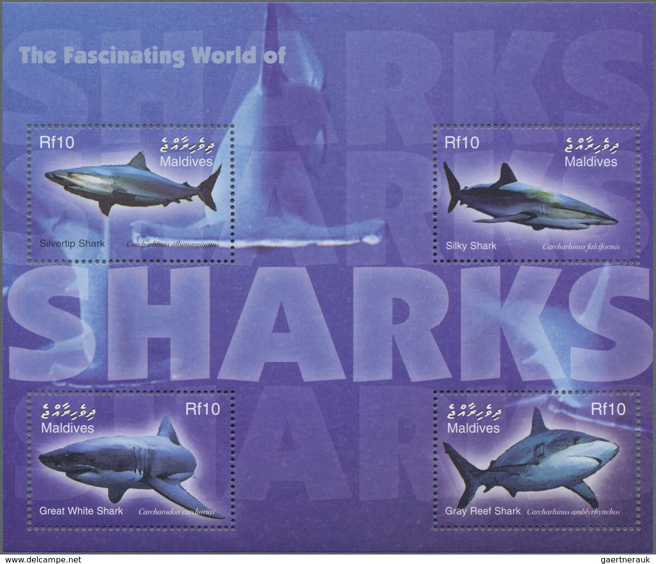 Thematik: Tiere-Fische / Animals-fishes: 2004, MALDIVES: Sharks Complete Set Of Four In Perforate An - Vissen