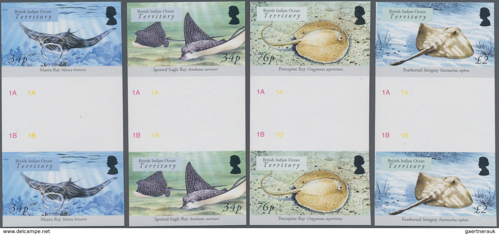 Thematik: Tiere-Fische / Animals-fishes: 2005, BRITISH INDIAN OCEAN TERRITORY: Sharks And Rays Compl - Fishes