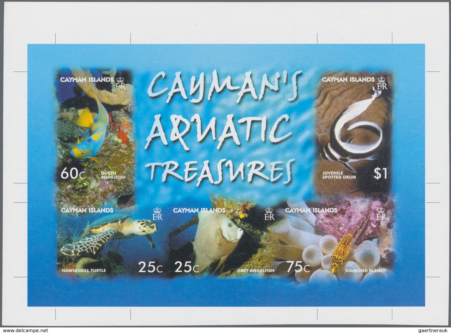Thematik: Tiere-Fische / Animals-fishes: 2006, CAYMAN ISLANDS: Sea Animals Complete Set Of Five (fis - Vissen