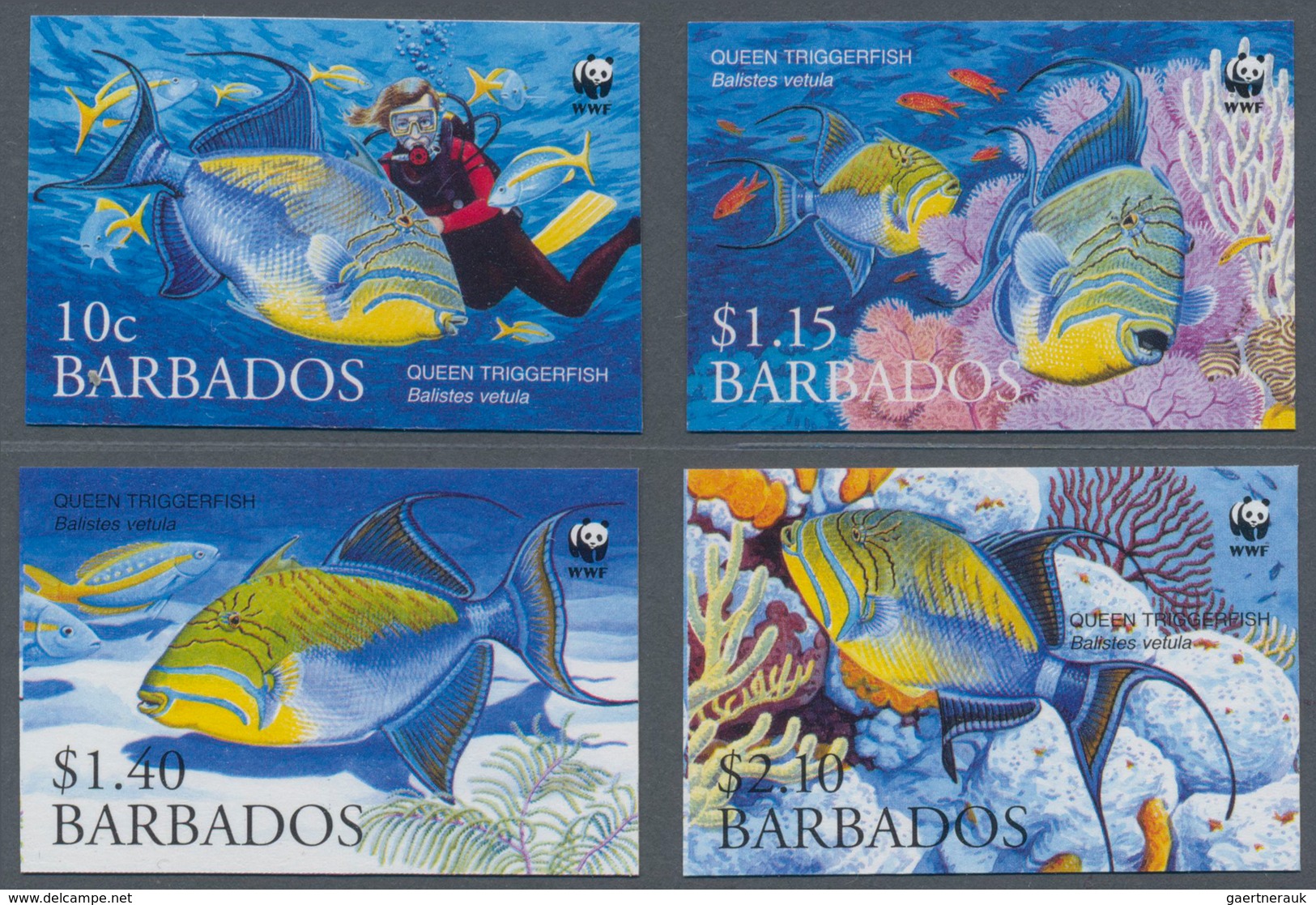 Thematik: Tiere-Fische / Animals-fishes: 2006, Barbados. Complete Set FISH (4 Values) In IMPERFORATE - Fishes