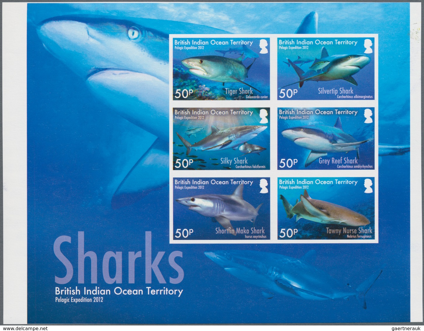 Thematik: Tiere-Fische / Animals-fishes: 2016, BRITISH INDIAN OCEAN TERRITORY: Sharks Complete Set O - Vissen