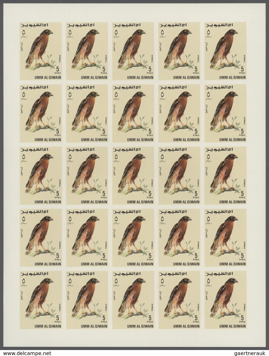 Thematik: Tiere-Greifvögel / Animals-birds Of Prey: 1968, Umm Al Qaiwain, Birds Of Prey, 15dh. To 5r - Águilas & Aves De Presa