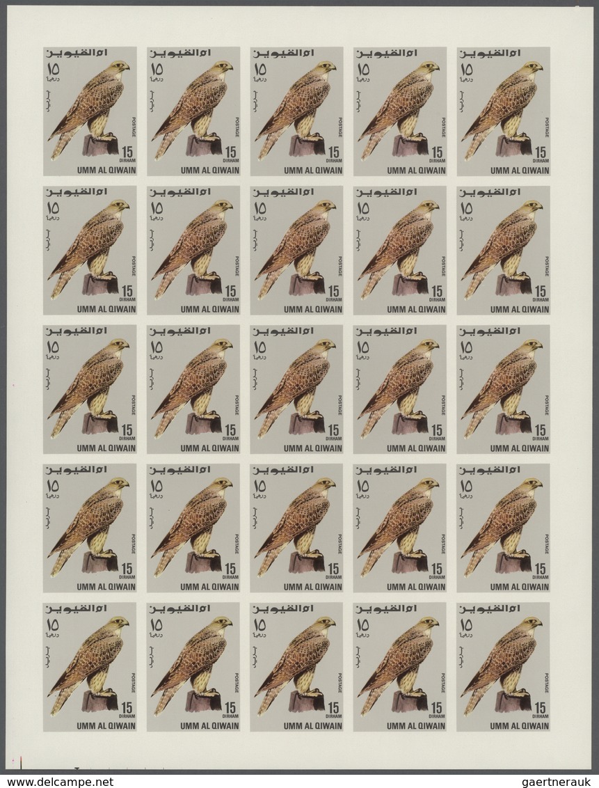 Thematik: Tiere-Greifvögel / Animals-birds Of Prey: 1968, Umm Al Qaiwain, Birds Of Prey, 15dh. To 5r - Arends & Roofvogels