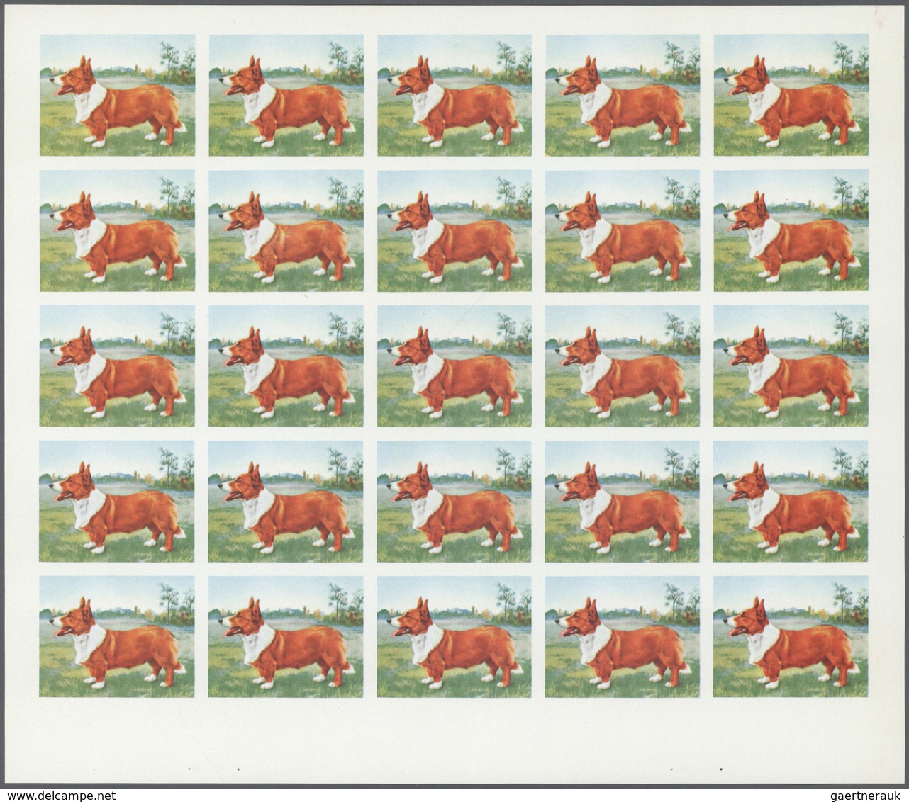 Thematik: Tiere-Hunde / Animals-dogs: 1972. Sharjah. Progressive Proof (6 Phases) In Complete Sheets - Honden