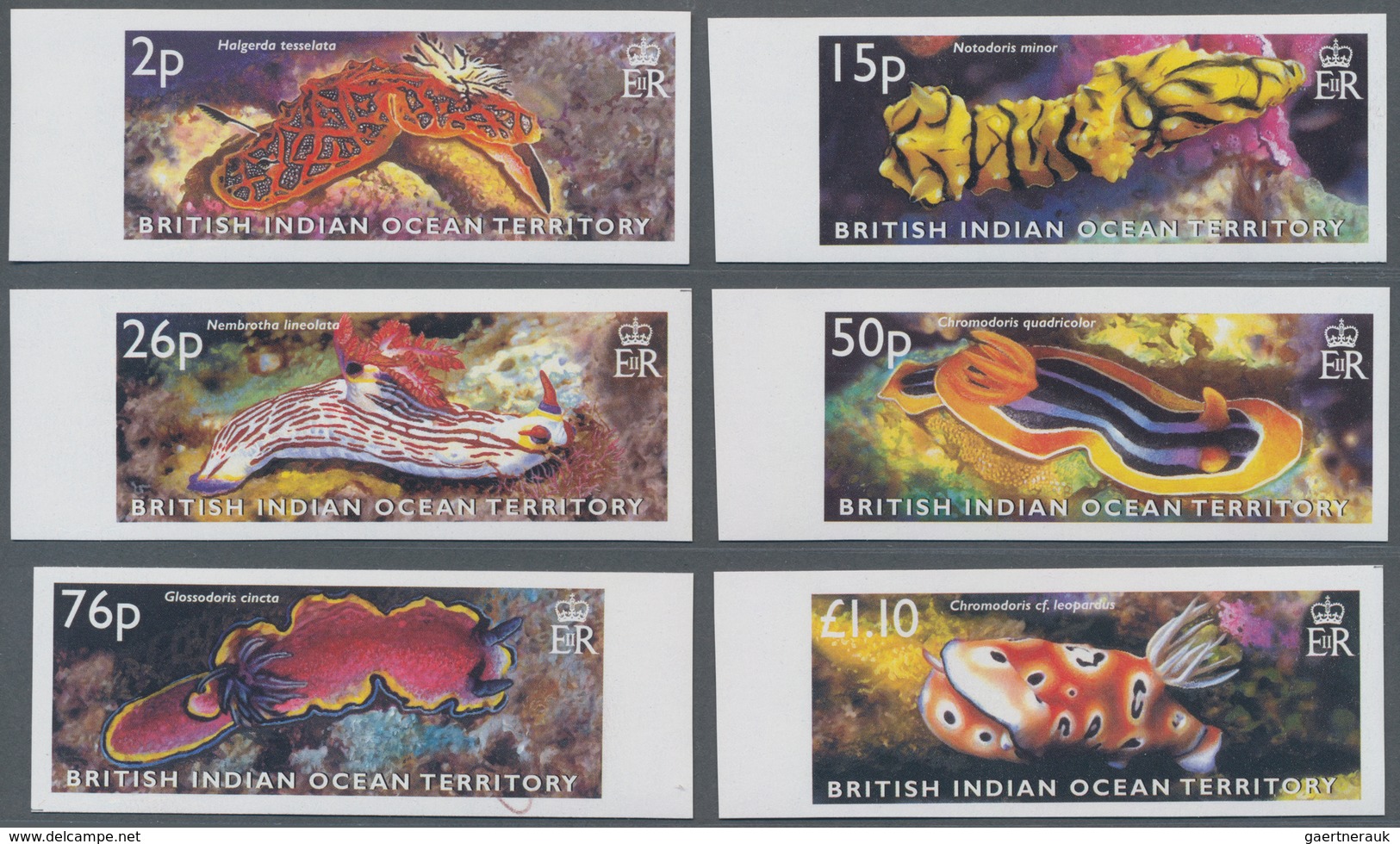 Thematik: Tiere-Meerestiere / Animals-sea Animals: 2003, BRITISH INDIAN OCEAN TERRITORY: Nudibranch - Mundo Aquatico