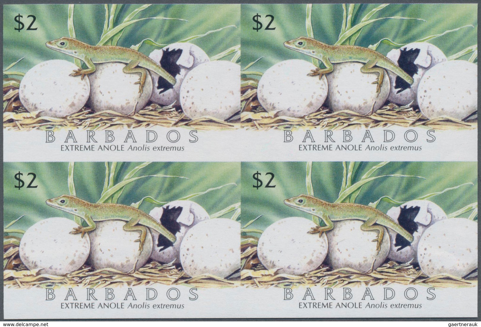 Thematik: Tiere-Reptilien / Animals-reptiles: 2005, Barbados. IMPERFORATE Block Of 4 For The $2 Valu - Other & Unclassified