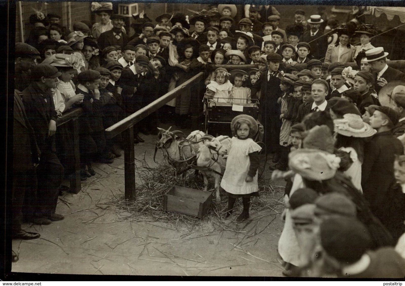 KIDS ON THE SHOW BISHOP OF BARKING  Attelage ZOO ANIMAUX ANIMALS ANIMALES   15 * 10 CM Fonds Victor FORBIN 1864-1947 - Sin Clasificación