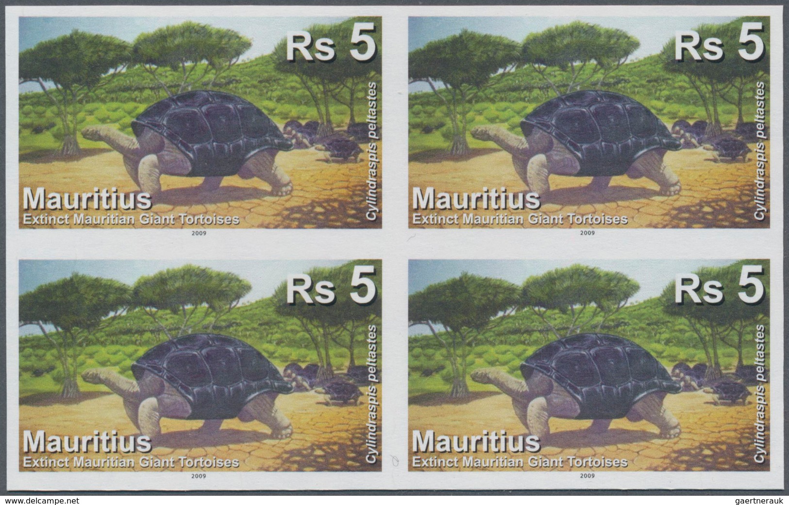 Thematik: Tiere-Schildkröten / Animals-turtles: 2009, Mauritius. IMPERFORATE Block Of 4 For The 5rs - Turtles