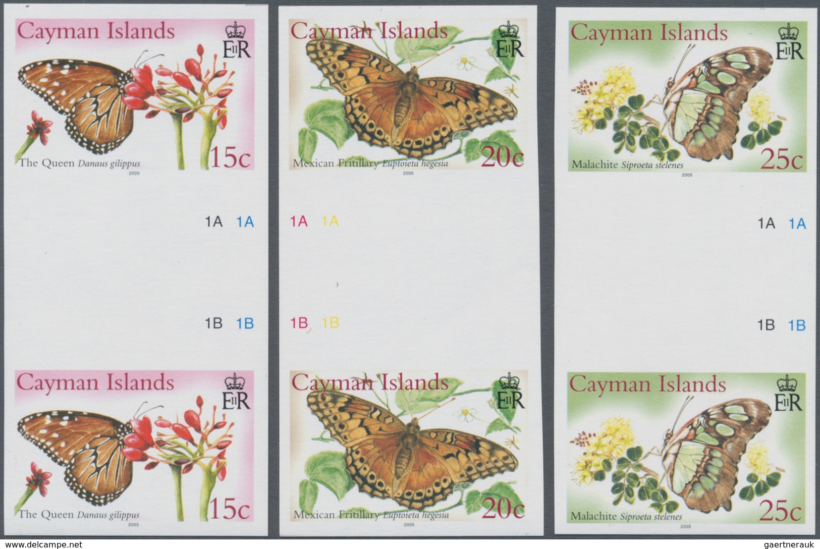 Thematik: Tiere-Schmetterlinge / Animals-butterflies: 2005, CAYMAN ISLANDS: Butterflies Complete Set - Butterflies