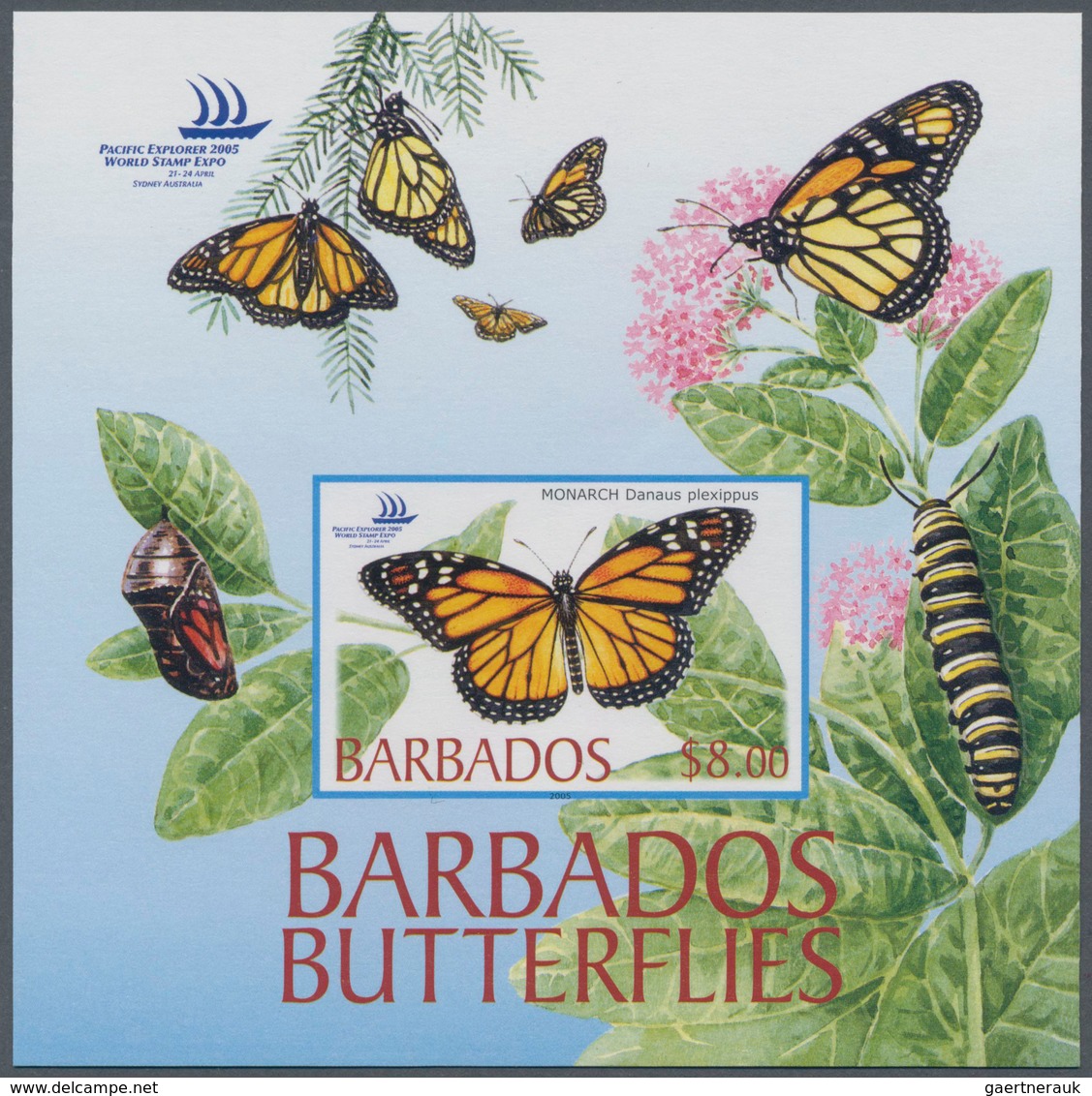 Thematik: Tiere-Schmetterlinge / Animals-butterflies: 2005, Barbados. IMPERFORATE Souvenir Sheet For - Vlinders