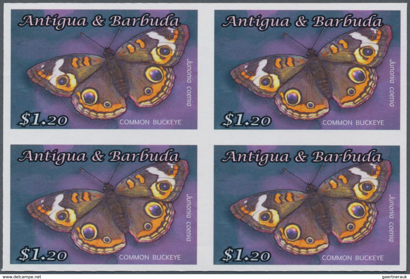 Thematik: Tiere-Schmetterlinge / Animals-butterflies: 2010, Antigua & Barbuda. IMPERFORATE Block Of - Vlinders