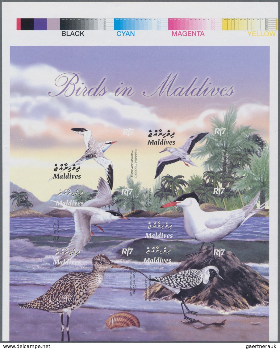 Thematik: Tiere-Vögel / Animals-birds: 2003, MALDIVES: Native Birds Part Set Of Six In Perforate And - Andere & Zonder Classificatie