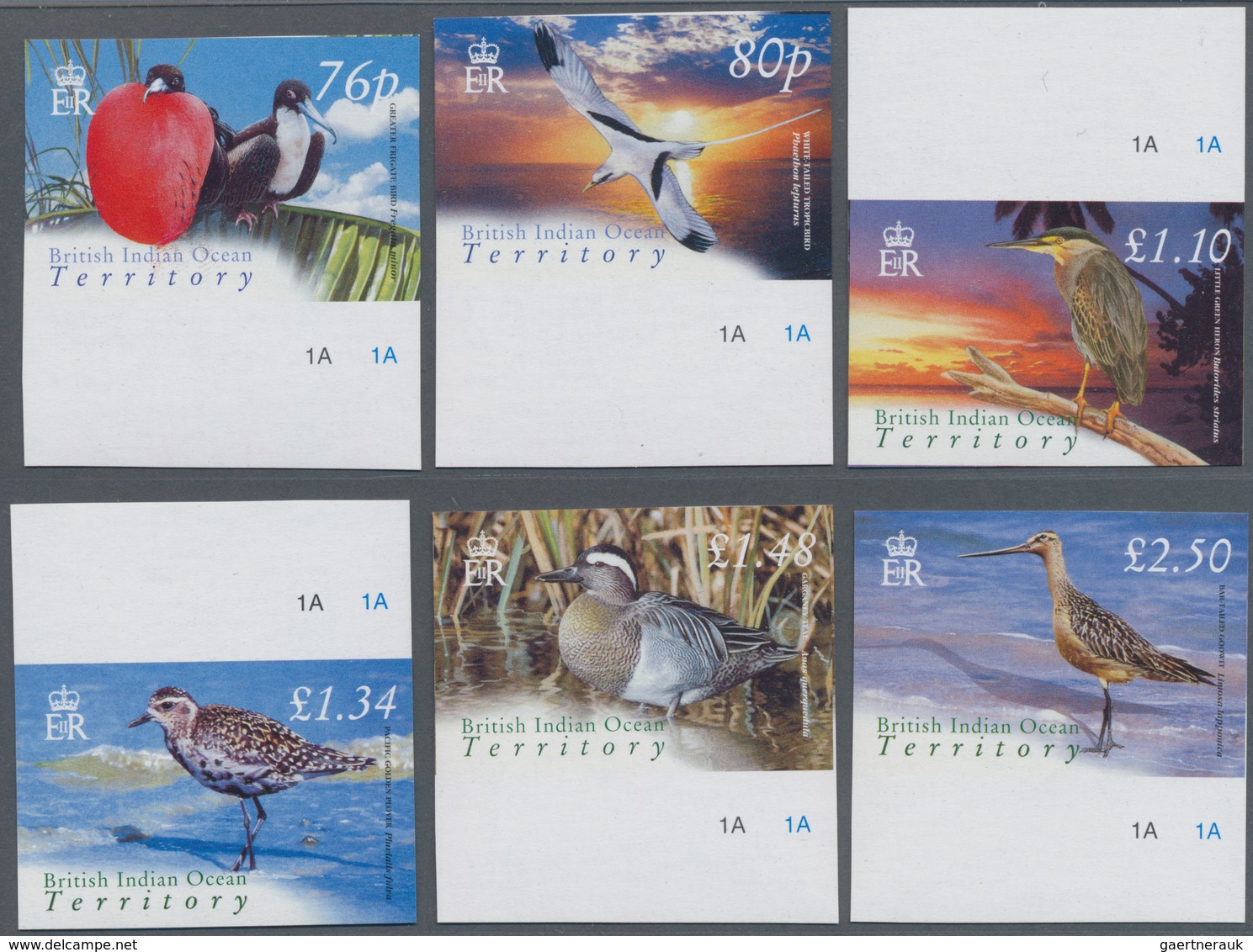 Thematik: Tiere-Vögel / Animals-birds: 2004, BRITISH INDIAN OCEAN TERRITORY: Bird Definitives Comple - Andere & Zonder Classificatie