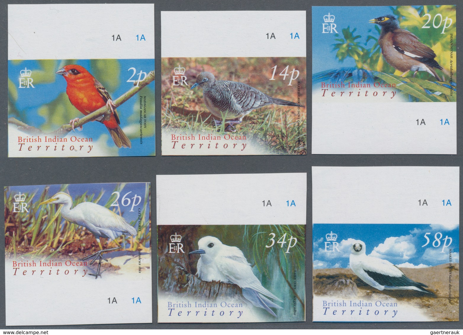 Thematik: Tiere-Vögel / Animals-birds: 2004, BRITISH INDIAN OCEAN TERRITORY: Bird Definitives Comple - Otros & Sin Clasificación