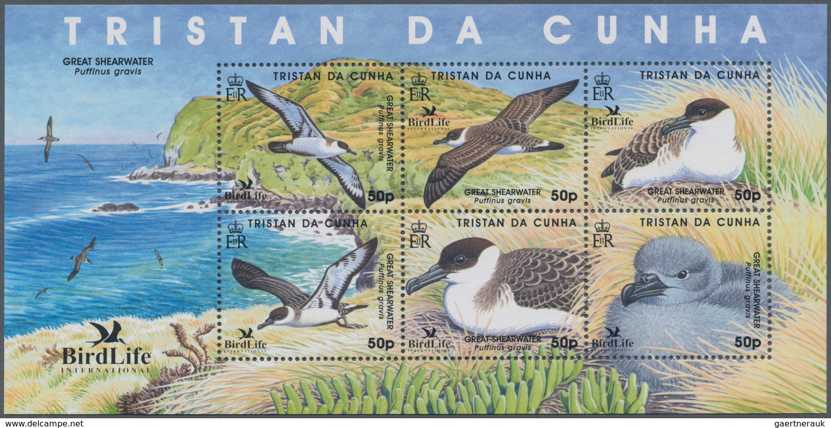 Thematik: Tiere-Vögel / Animals-birds: 2007, TRISTAN DA CUNHA: BirdLife International (Great Shearwa - Other & Unclassified