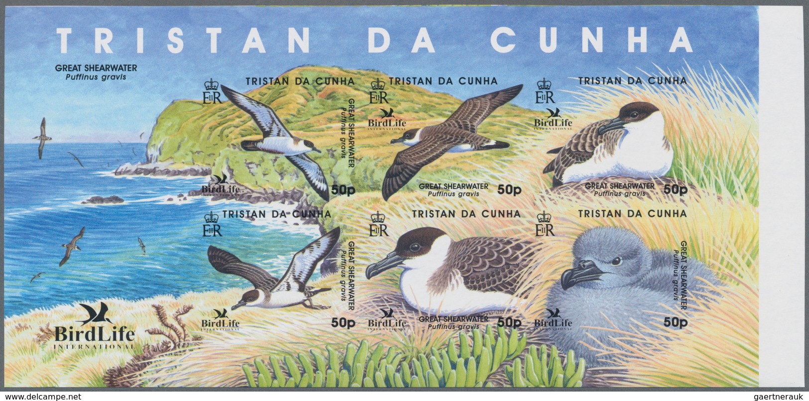 Thematik: Tiere-Vögel / Animals-birds: 2007, TRISTAN DA CUNHA: BirdLife International (Great Shearwa - Otros & Sin Clasificación