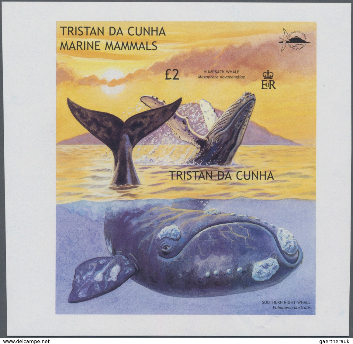 Thematik: Tiere-Meeressäuger (u.a. Wale) / Animals-aquatic Mammals: 2002, TRISTAN DA CUNHA: Whales A - Other & Unclassified